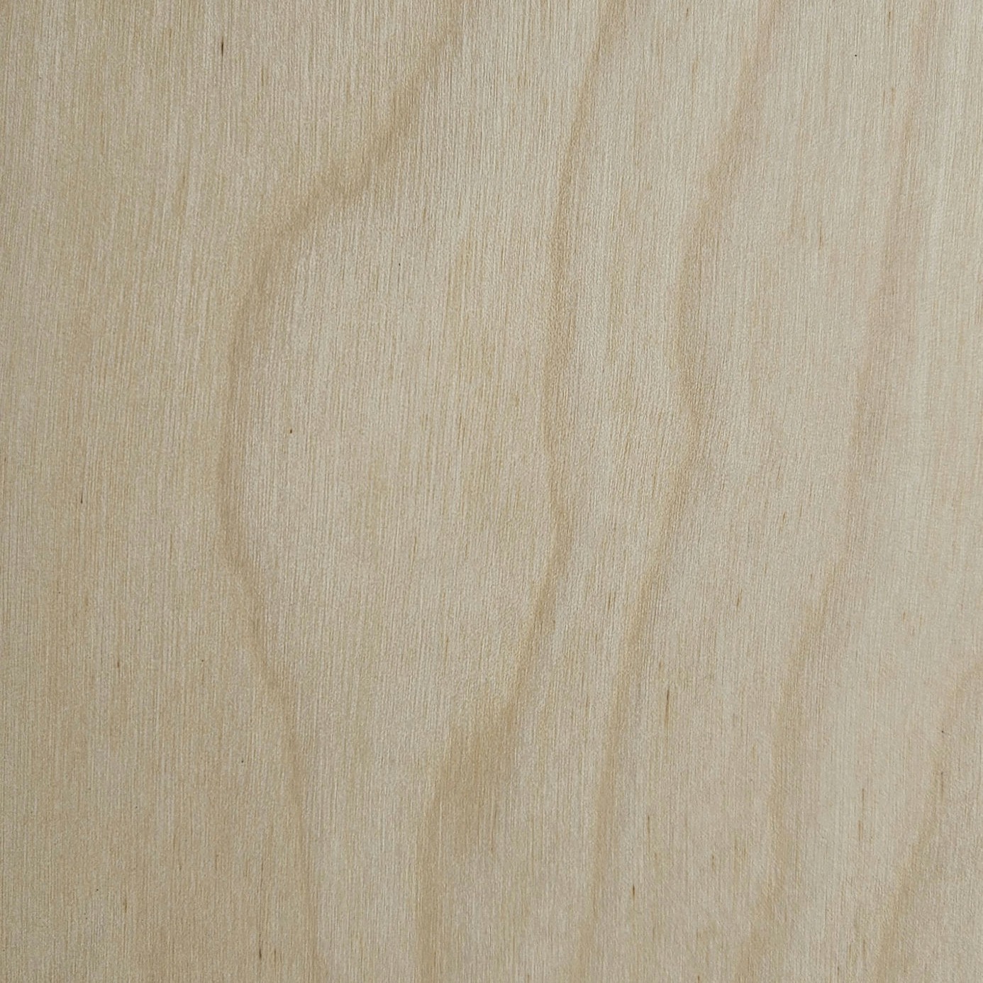 우드룩 베이지 무광 마루 · 125×900