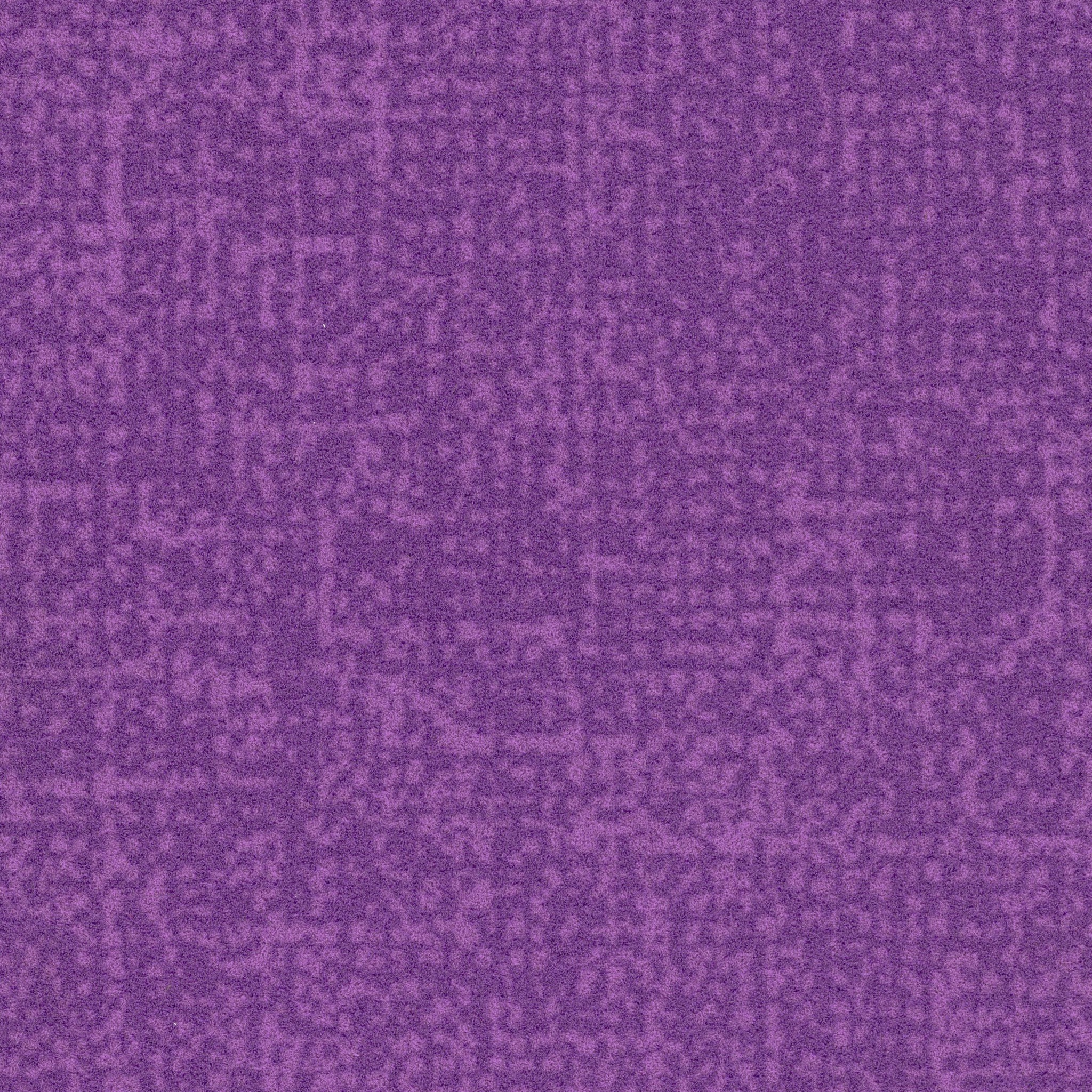 퍼플 무광 플로텍스 · 500×500