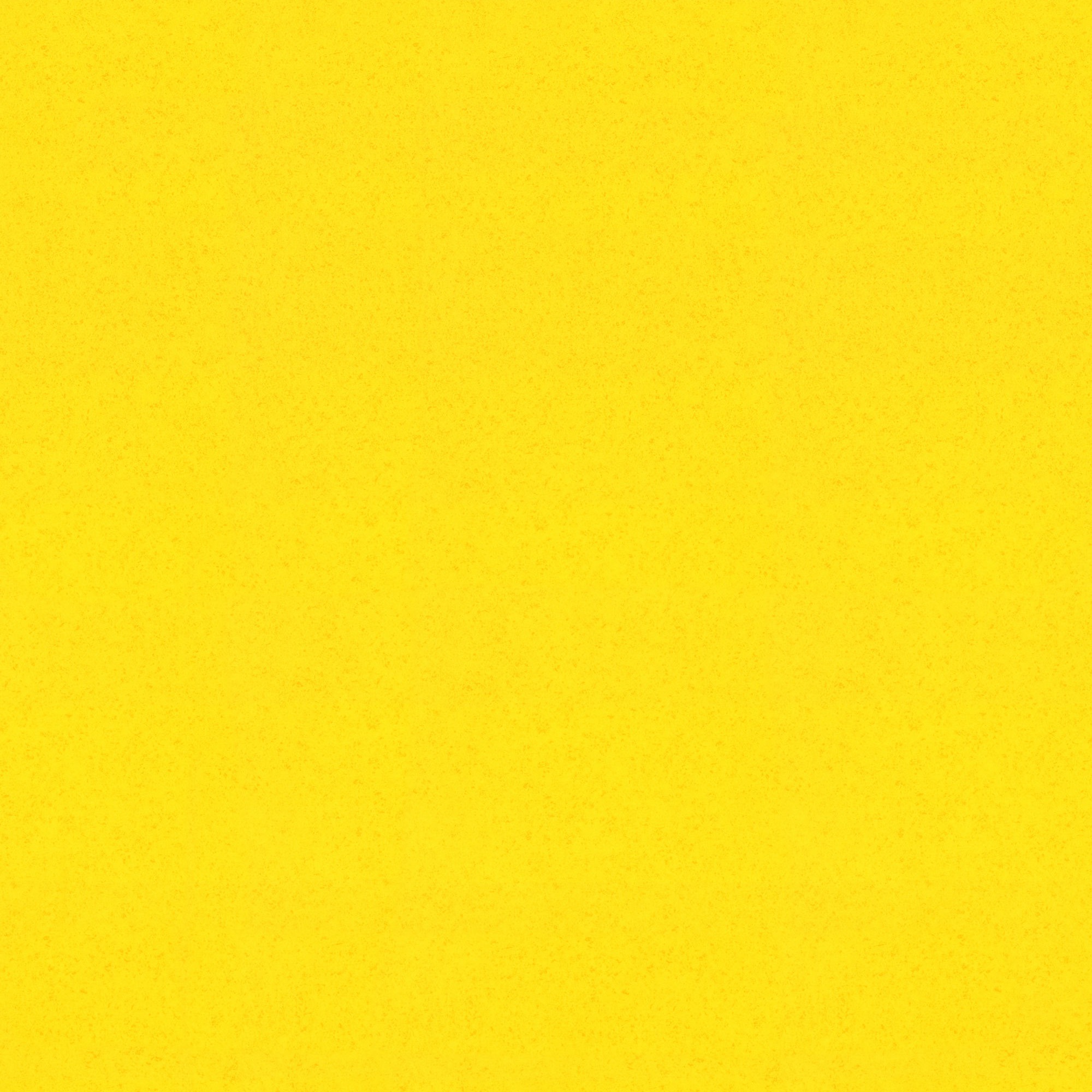 옐로우 무광 살론-모듈업