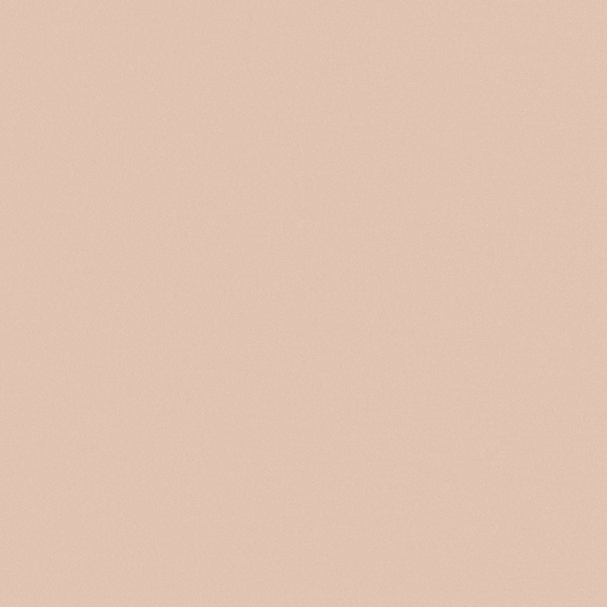 베이지핑크 무광 살론-모듈업