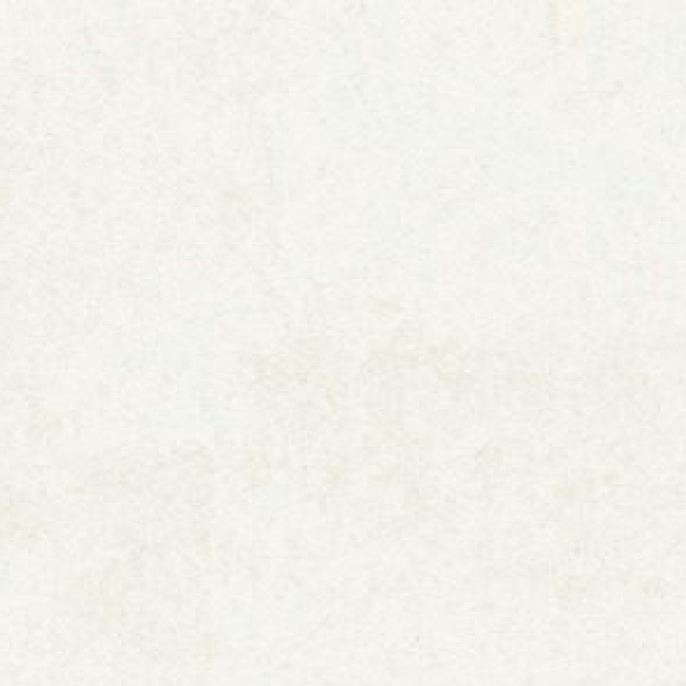 스톤룩 화이트 무광 도기질 · 300×600
