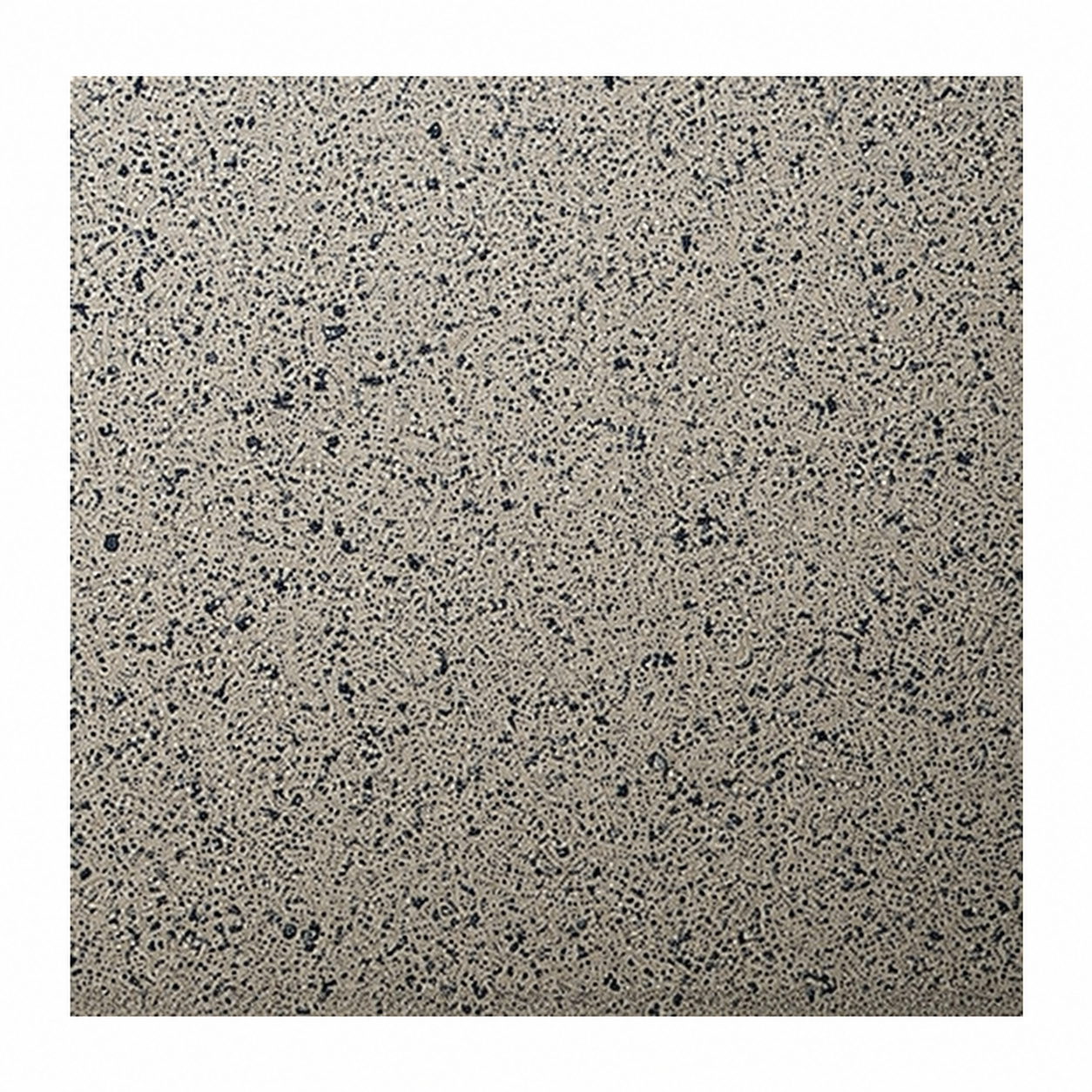 스톤룩 그레이 무광 포세린 · 200×200