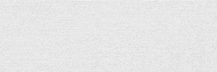 모자이크룩 화이트 무광 도기질 · 250×750