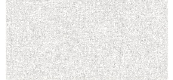 스톤룩 라이트그레이 무광 도기질 · 300×600