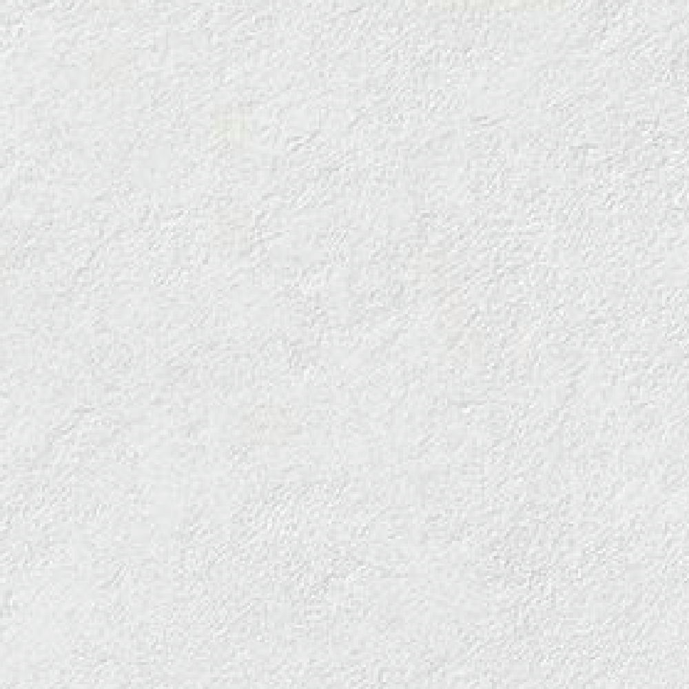 스톤룩 화이트 무광 도기질 · 250×750
