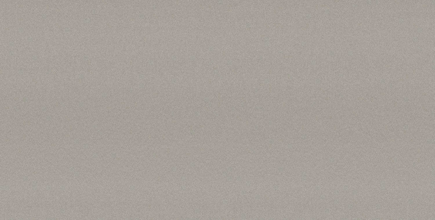 그레이 무광 포세린 · 600×1200