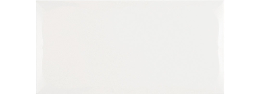 라이트 그레이 유광 도기질 · 250×500